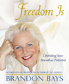 Connie
Hansen and Brandon Bays Presents the Journey
Seminars